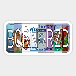 Kentucky Born and Raised Sticker